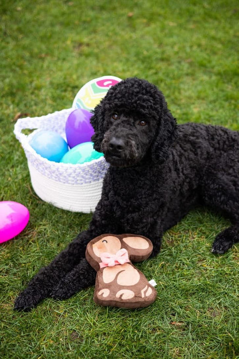 Pearhead Plush Easter Chocolate Bunny Dog Toy, Interactive Soft Squeaker Pet Toy for Dog Owners
