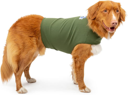 Dog Anxiety Calming Wrap, Small, Cypress