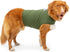 Dog Anxiety Calming Wrap, Small, Cypress