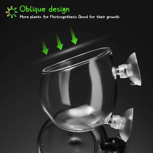 CHENGU 6 Pieces Aquatic Plant Pot - Glass Aquarium Plant Cup with Hole, Suction Cups for Shrimp and Live Plants