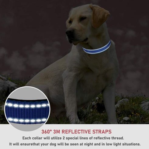 Reflective Dog Collar with Buckle, Adjustable Safety Nylon Collars for Small Medium Large Dogs, Navy Blue (L)