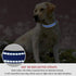 Reflective Dog Collar with Buckle, Adjustable Safety Nylon Collars for Small Medium Large Dogs, Navy Blue (L)