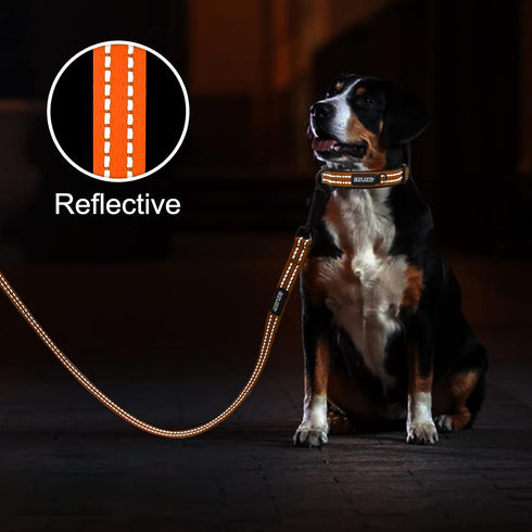 azuza Durable Padded Dog Leash and Collar Set - Reflective Strip for Large Dogs, Extra Safe and Comfy, Orange