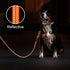 azuza Durable Padded Dog Leash and Collar Set - Reflective Strip for Large Dogs, Extra Safe and Comfy, Orange