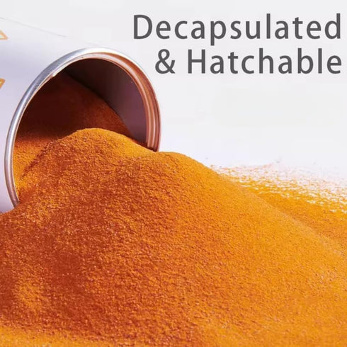 AQUA DEBEAT 2.82 oz (80 Decapsulated Brine Shrimp Eggs Non Hatching, Feeder Included, Natural High Protein Fish Food