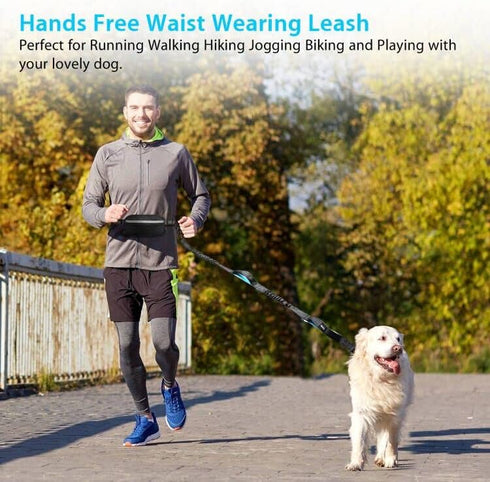 Hands Free Dog Running Leash with Zipper Pouch - Dual Handle, Elastic Bungees for Medium and Large Dogs