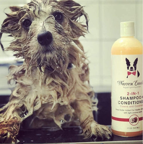 Warren London 2in1 Pet Shampoo and Conditioner for Dogs, Puppies & Cats - Best for Dry Itchy Skin, Gallon Size