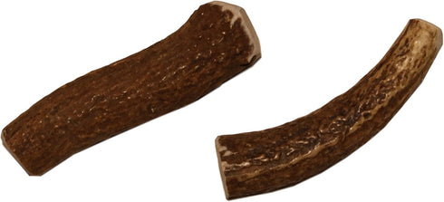X Small Whole Twin Pack Premium Grade Elk Antlers for Dogs, 2 Pieces, Sourced in The USA