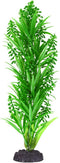 Underwater Treasures Green Tip Kelp