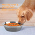 Slow Feeder Dog Bowls Insert - Soft Silicone Bowl for Small, Medium & Large Dogs