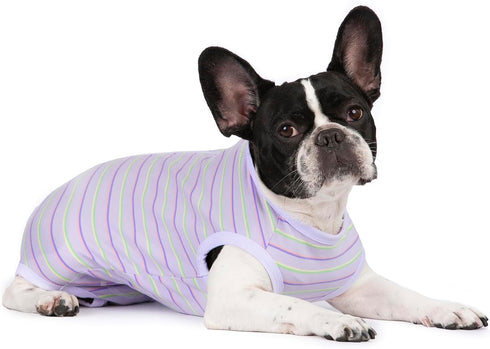 Puppy Striped Recovery Suit for Dogs and Cats - Zip Up Onesie for Abdominal Wounds, Professional Spay Neuter Bodysuit