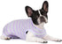 Puppy Striped Recovery Suit for Dogs and Cats - Zip Up Onesie for Abdominal Wounds, Professional Spay Neuter Bodysuit