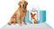 FPN Puppy Pads for Dogs 25 Count 24x36 Inch | Extra Large