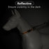 Plutus Pet Martingale Dog Collar with Stainless Steel Chain, Adjustable No Pull Training Collar for Small Medium Large
