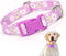 Purple Collar for Dogs, Floral Pattern Design Quick Release Buckle Soft Nylon Adjustable for XS Small Medium Large Dogs