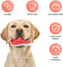 Dog Chew Toys, Tough Durable Rubber Puppy Toy for Aggressive Chewers, Interactive Toys for Medium Large Breed