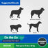 Coolaroo On The Go Cooling Elevated Dog Bed, Portable for Travel & Camping, Collapsible Medium, Brunswick Green