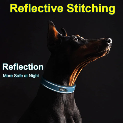 Fida Heavy Duty Dog Collar - Ultra Soft Neoprene Padded, Adjustable Reflective Nylon for Extra-Large Breeds (XL, Blue)