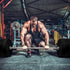 GYMENIST Bumper Plates for 2 Inch Olympic Bars, Premium Commercial Gym, Available in 10 LB to 55 LB Black or Multi Color