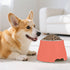 Salmon Stainless Steel Dog & Cat Bowls - Elevated Pet Feeding Essentials