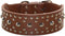 Studded Leather Dog Collar for Medium Large Dogs, Pitbull Doberman (M: 17-20 inch, Brown)