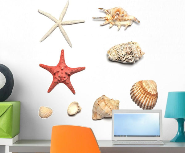 Wallmonkeys Shells and Starfishes Wall Decal Sticker Set, Individual Peel and Stick Graphics on a 24 in H x 24 in W