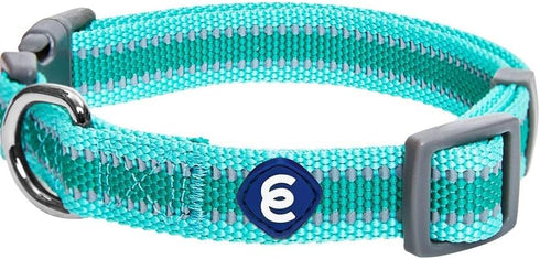 Blueberry Pet Essentials Small Dog Collar - Adjustable Classic Solid Color Nylon, Reflective Minty Green for Small Dogs