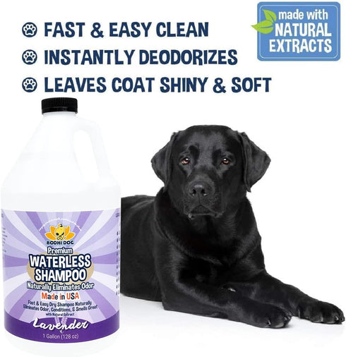 Bodhi Dog Waterless Shampoo | Natural Dry Shampoo for Dogs or Cats | Neutralizes Pet Odor | No Rinse Required | Vet