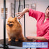 3 35.4 36.2 50 LEIBOU H-Shape Dog Grooming Arm Pet Supplies Grooming Table Arm with Noose and Clamp Heavy Duty Aluminum