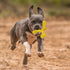 Indestructible Dog Chew Toys for Aggressive Chewers, Durable Cleaning Toothbrush Natural Rubber Bones Toy (Yellow)