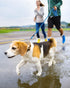 Long Dog Leash for Training 16FT/30FT/50FT/100FT, Reflective Rope Check Cord for Large Medium Small Dogs Walking and