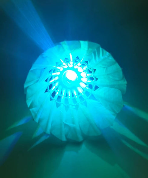 LED Badminton, 10 Pack Colourful Shuttlecock, Dark Night Goose Feather Glow Birdies for Sports Activities