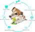 Guardians Dog Squeaky Chew Toy, Teeth Cleaning Stick for Small Medium Dogs, Suction, Aggressive Chewers (Yellow Corn)