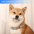 Adjustable Pet Collar with Metal Buckle, Cute Colors for Small Medium Large Dogs, Breathable Soft (Medium, Red Blue)