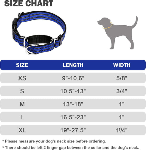 Martingale Collar for Dogs, Reflective Nylon with Quick Release Buckle, Adjustable No Slip Training Collar (Small, Blue)