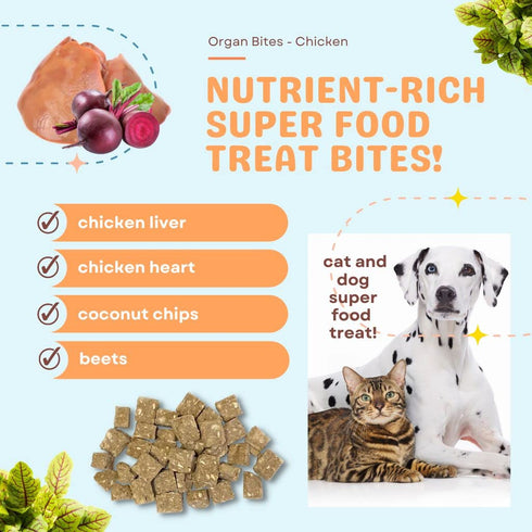 CocoTherapy Organ Bites! Dog and Cat Treat (Chicken + Beet), 3 Oz