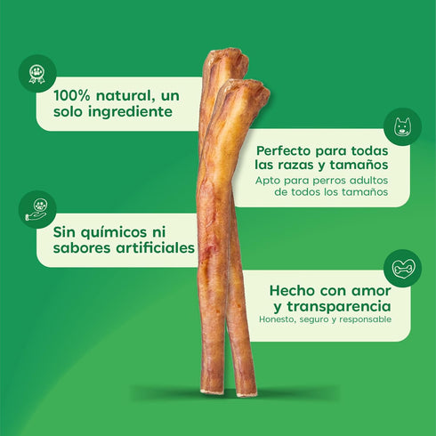 6 Inch 8oz MASSTICK Normal Bully Sticks for Dogs Thick Minimal Odor Beef Dog Chews Fully Digestible Chew Sticks