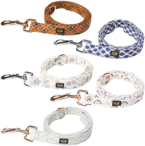 Stylish 4 Feet Dog Leash, Cute and Durable Training and Walking Accessories for Small, Medium, Large Pets (Ditzy