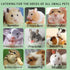 Chinchilla Rabbit Chew Toys Cleans The Mouth, Guinea Pig Chew Toy Protect Teeth, Apple Sticks Timothy Grass Sticks