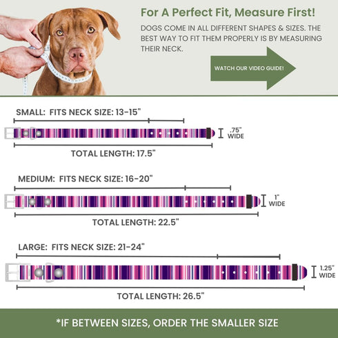 Waterproof Dog Collar, 100% Washable, Odor Proof, Easy to Clean, Quick-Dry, Soft Flexible Durable with Zinc Alloy