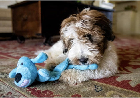 12 inch 13 Smiling Loofa Mat Plush Dog Toy, Long with Squeakers, Cute Soft Squeaky Toy for Medium, Small, Large Dogs