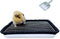 DOZZOPET Guinea Pigs Litter Box with Stainless Steel Grid & 2 Reusable