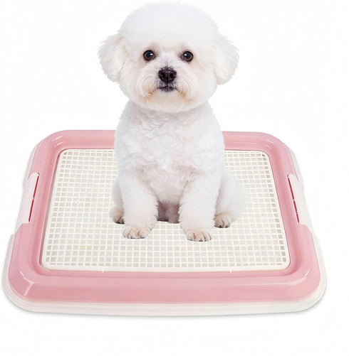 Dmnnlp Dog Potty Tray for Small Dogs, Puppy Potty Training Tray 19.7"x14.5" Indoor