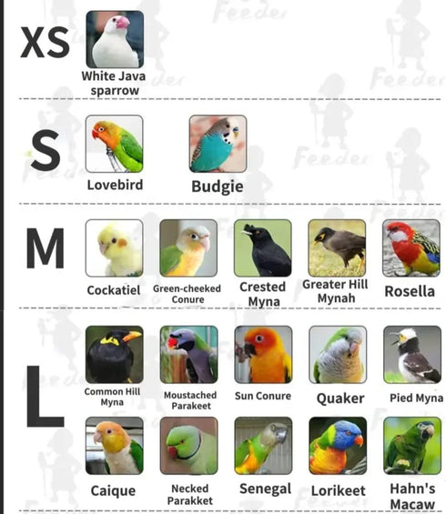 Barn Eleven Bird Flight Suits Diapers for Monk Parakeets, Conures, Lovebirds, Cockatiels Flight Suits, Parrot Clothes