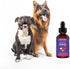 Premium DMG for Dogs - Liquid to Support Immune Health, Skin, Stamina, Muscles & Performance - 4oz