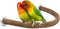 Rypet U Shape Natural Wood Stand Perch for Parrots, Swing Bird Chewing Stand, Cage Accessories for Budgies, Conures,