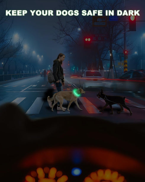 Light Up Dog Collar, Multi-Color USB C Rechargeable LED Collar, High Visibility Glow in The Dark for Small Medium Large