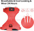 Light Up Dog Harness - Rechargeable LED Vest, No-Pull Glowing Safety Pet Harness for Night Walking & Camping (Red,