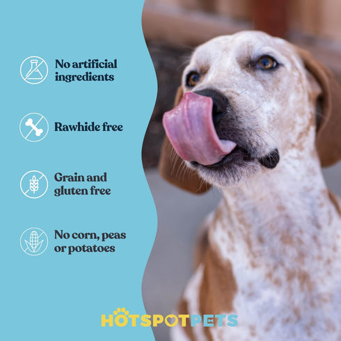 hotspot pets Beef Tendon Chews for Dogs (10 Pack) - 8 Inch All Natural, Grass-Fed Premium USDA Beef Stick Treats