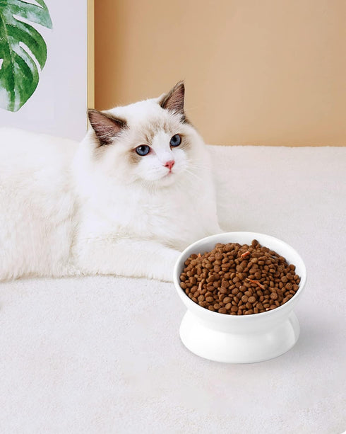 Elevated Cat Food Bowl, 5 Oz Ceramic Raised and Tilted Water Bowl, Anti Vomiting Dishes for Small Dogs and Cats, White